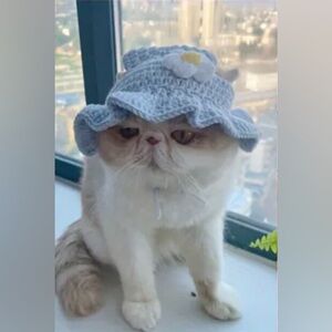 Baby Blue Crochet Hat with Flower Accent for Small Pets Dog Cat (Sm)